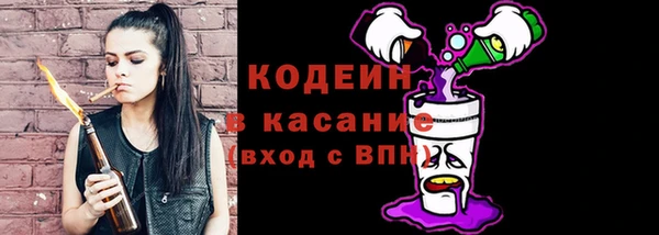 винт Инта