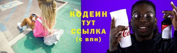 винт Инта