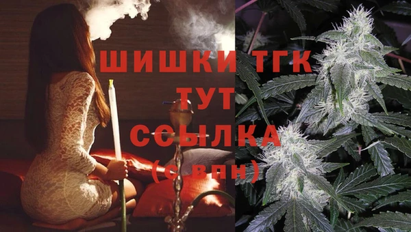 винт Инта