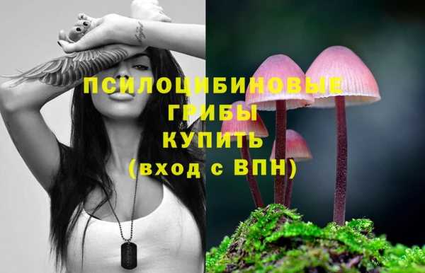винт Инта